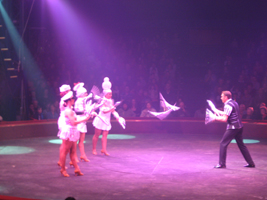 Cirque Gruss 30 janvier 2013 (2)