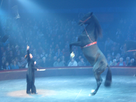 Cirque Gruss 30 janvier 2013 (3)
