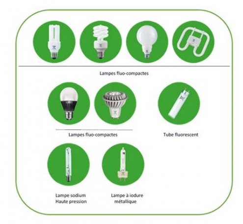 Où en est le recyclage des ampoules LED ? - Natura Sciences